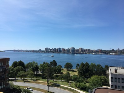 Roof Patio 1 08.06.2019